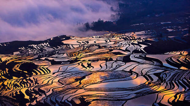 Завораживающие фотографии рисовых террас