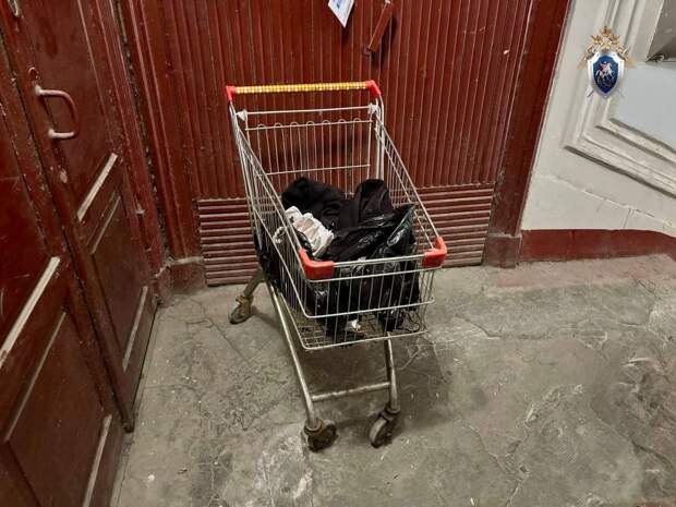 ⚠️Собрали новости по теме об этом убийстве