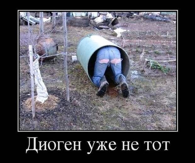 Прикольные демотиваторы для улыбок (10 фото)