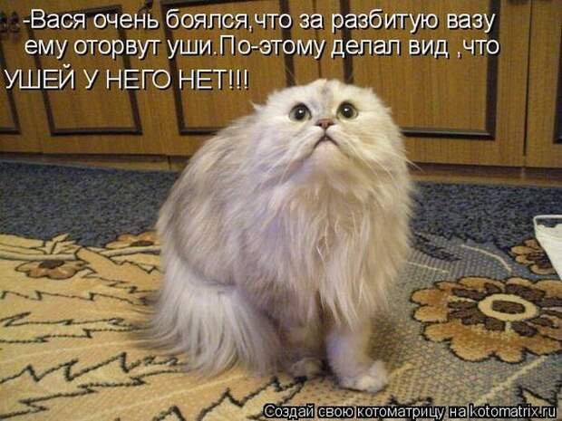 Мысли вслух :)