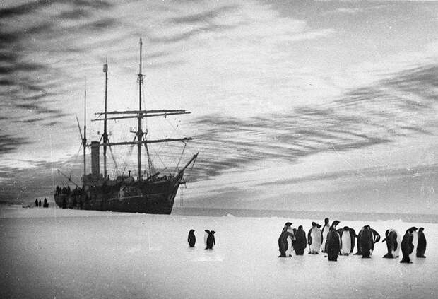 antarctica10 Самые впечатляющие фотографии Антарктиды начала 20 века