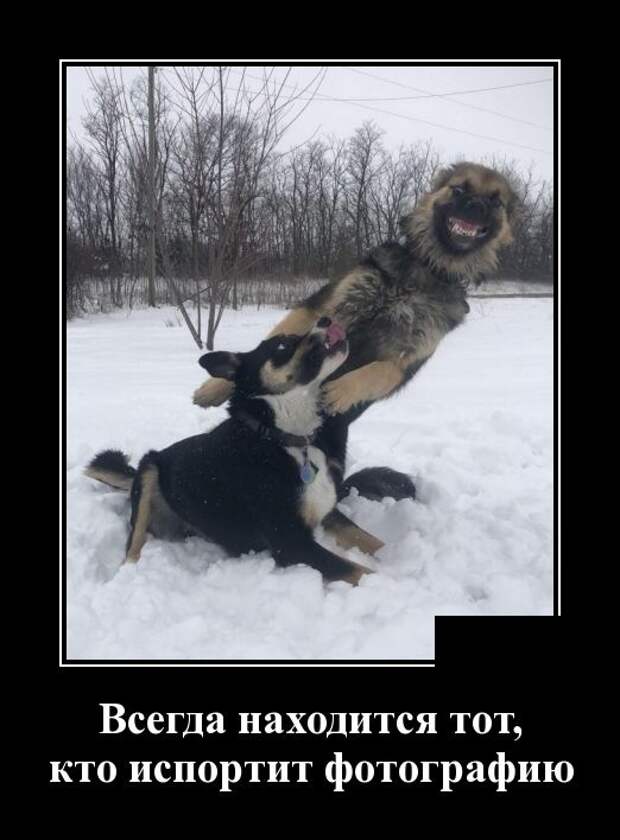 Демотиваторы (30 фото)