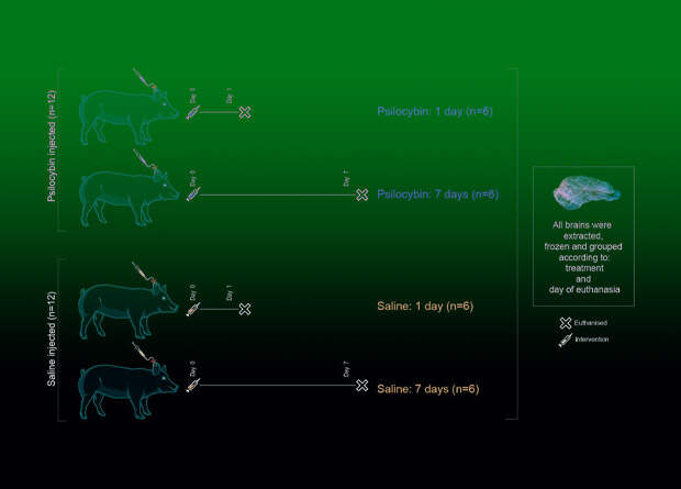 International journal of molecular sciences