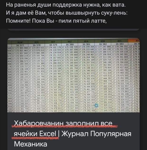 204724_13_trinixy_ru.jpg