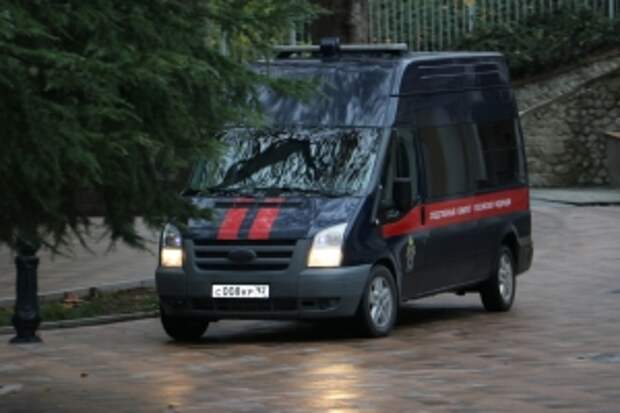 Главе ведомства будет доложено о расследовании обстоятельств травмирования ребёнка в детском саду в Алтайском крае