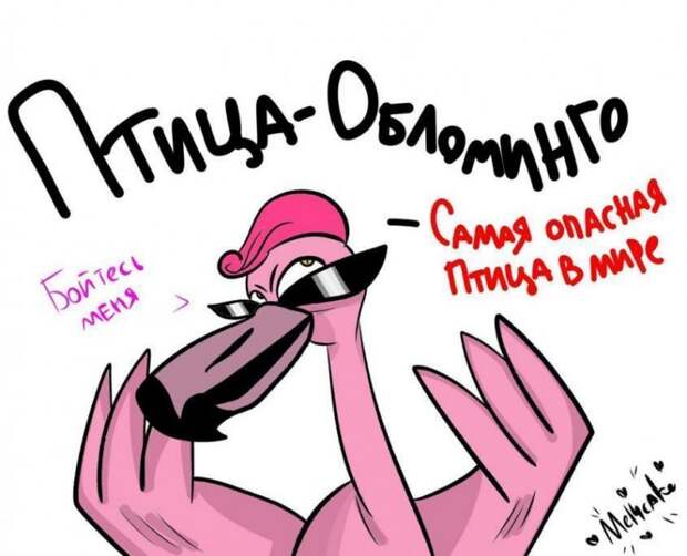 В Польшу к русофобам прилетела из Дании чудо-птица «Обломинго»