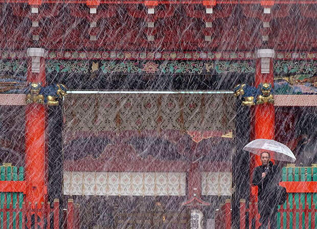 Tokyo First Snow In November 2016