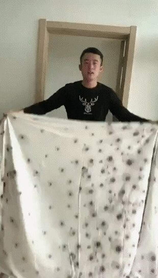Старший брат — это прекрасно