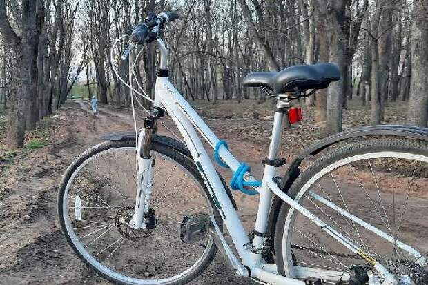 Пять проектов из Тамбовской области получат субсидии на туристическое оборудование