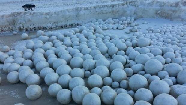 В ЯНАО появилось новое необычное явление – ледяное сало природа, шары