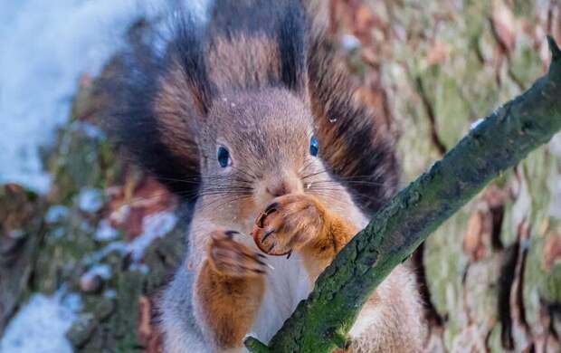 Метеоролог Леус: Температура воздуха в Петербурге опустилась до минимума за два года