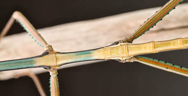 3db715656f8be9dc4ff9c855d8ecdfb4