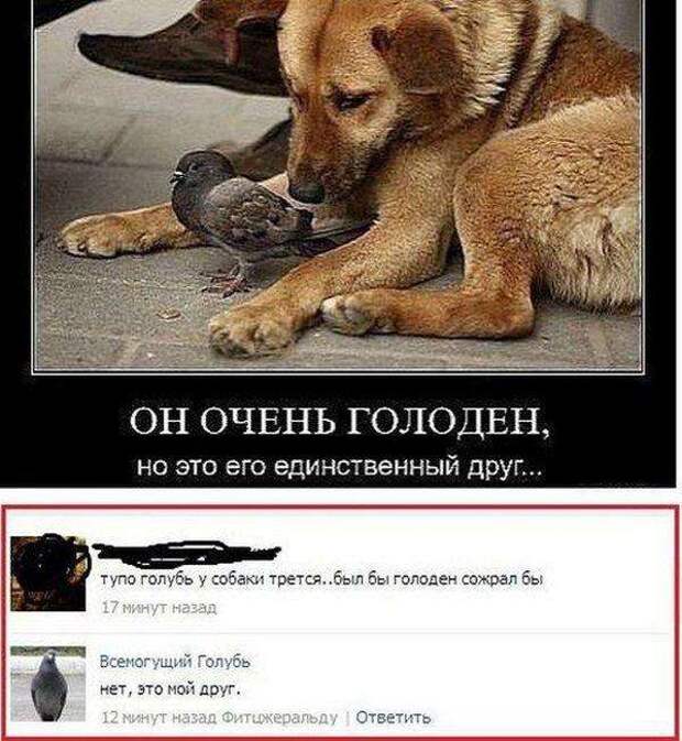 Смешные комментарии. Подборка chert-poberi-chert-poberi-51411010042020-1 картинка chert-poberi-51411010042020-1