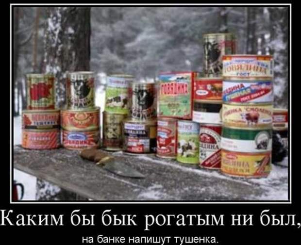 Прикольные и жизненные демотиваторы