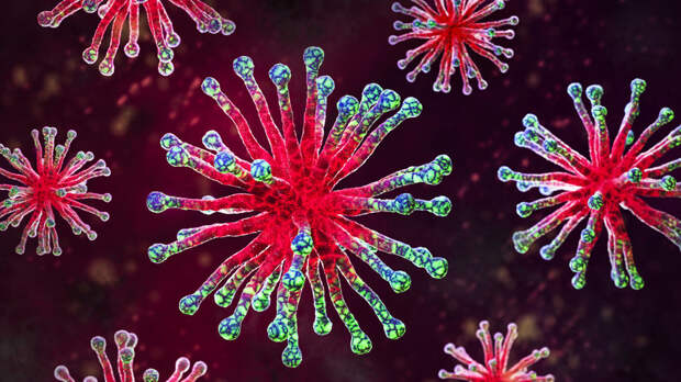 Вирусолог Карпова: лихорадка чикунгунья не передаётся от человека к человеку