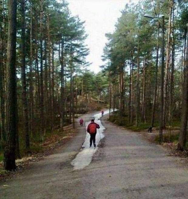 Прикольные картинки