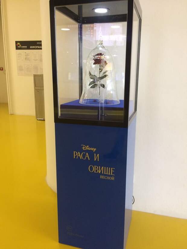 В ТРЦ Total fail, fail, идиотизм, неудача, неудачники, опростоволосились, прикол