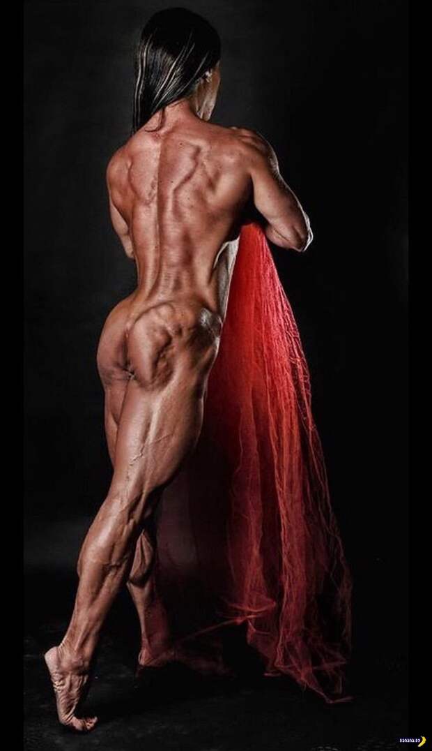 Спортивные девушки - 285