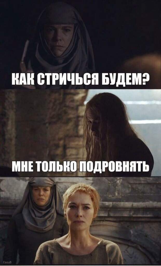 Медуза цианея. Цветущая медуза. Cyanea capillata. Медуза распустилась совсем надо ее подровнять. Медуза атолла.