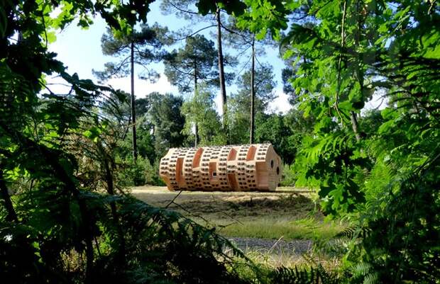 Деревянный приют, расположенный в лесопарковой зоне.