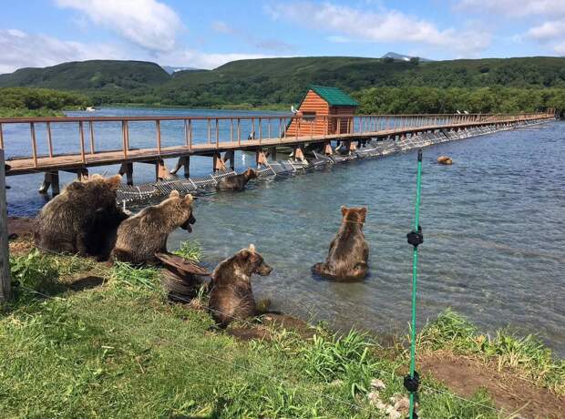 Курилы в прошлом году посетило почти 60 тысяч человек