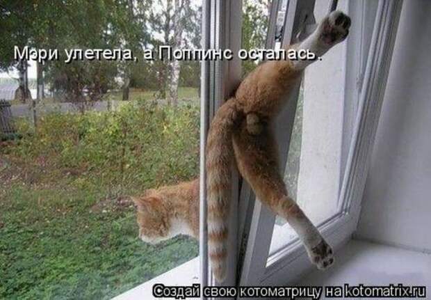 Мысли вслух :)