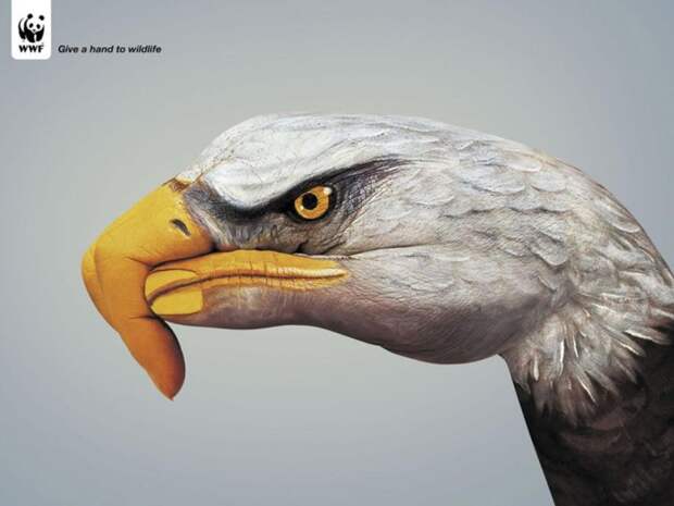 рекламные кампании о животных раскрывающие правду (16)