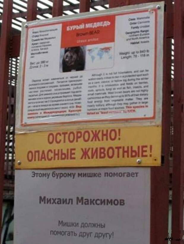 Забавные надписи и объявления