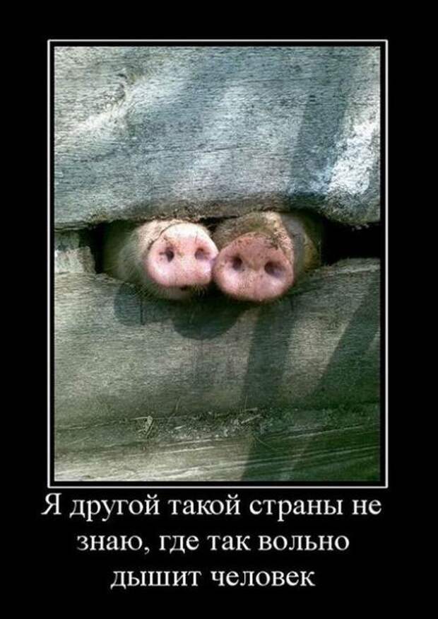 Если бы всеми государствами управляли женщины то. Широка страна моя родная много в ней. Побольше бы стране таких. Если бы страны были женщинами. Побольше бы таких людей.