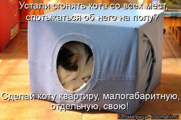 Свежая и прикольная котоматрица (32 фото)