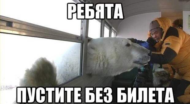 Юмор о четырех колёсах