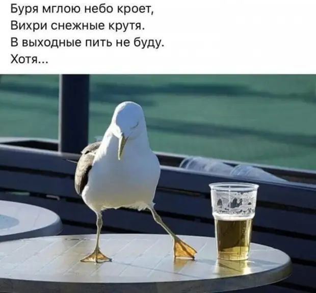 Посмеялся сам - поделись с другом!!!