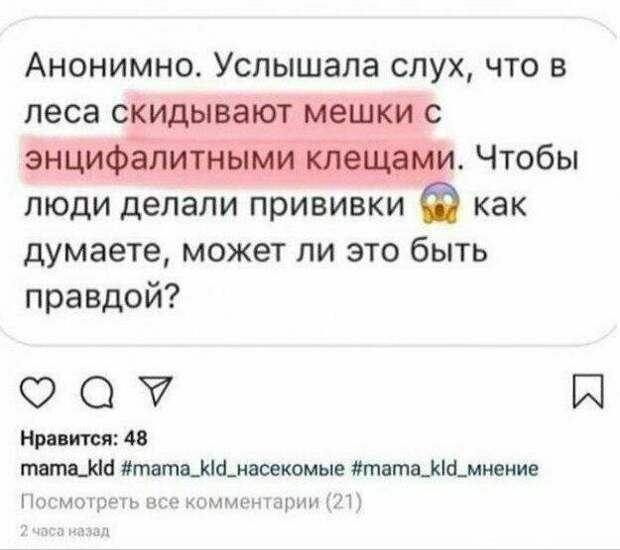 Похоже что человеческая глупость просто не знает границ! Похоже что человеческая глупость просто не знает границ! высказывания, глупые мысли, маразмы, приколы, соцсети, юмор