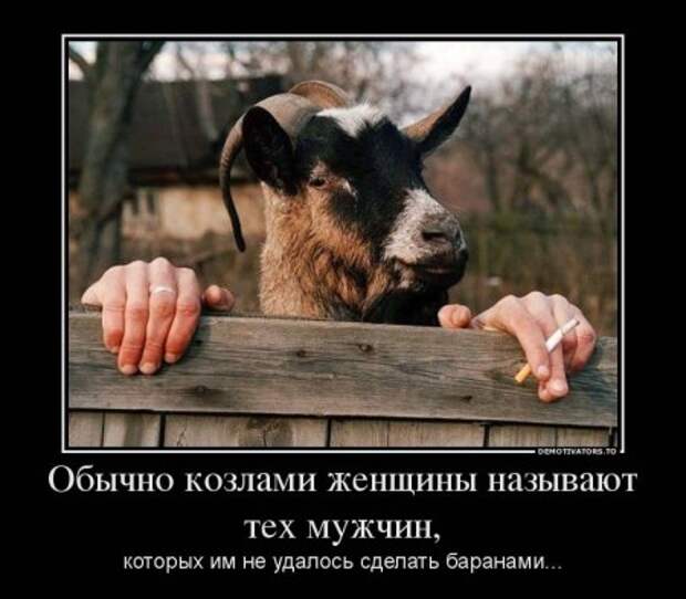 Жизненные веселые демотиваторы со смыслом (11 фото)