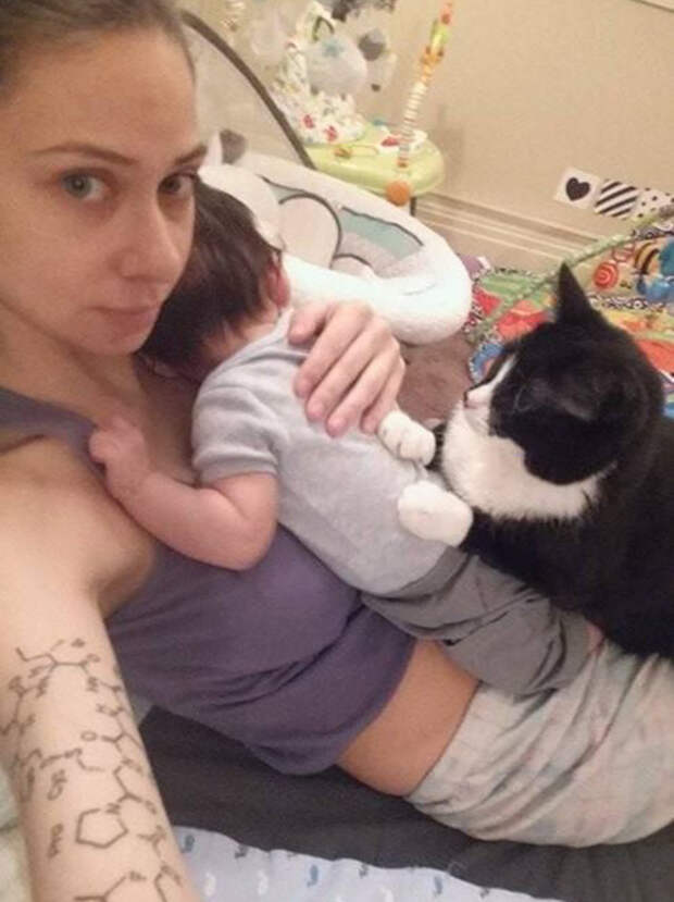 кошка полюбила младенца еще до рождения