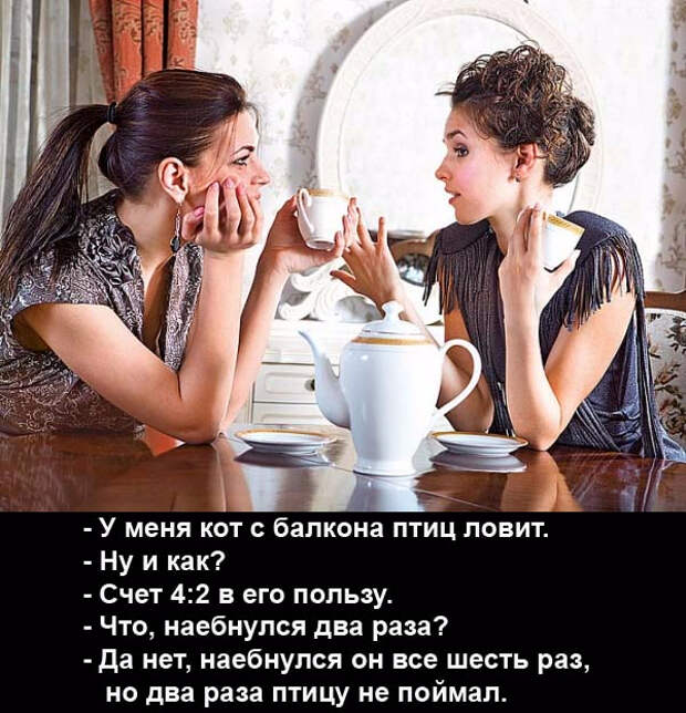 анекдот пор кота (600x624, 356Kb)