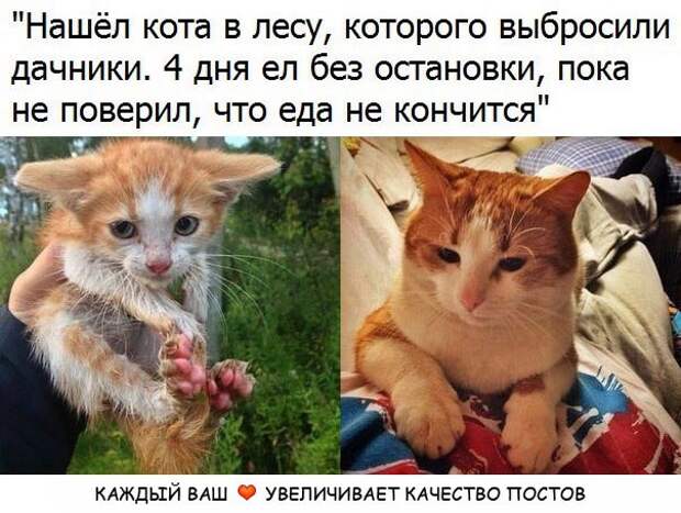 Веселые и эмоциональные картинки с надписями (11 фото) Веселые и эмоциональные картинки с надписями (11 фото)