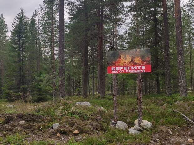 МЧС Карелии выпустило предупреждение о высокой пожароопасности