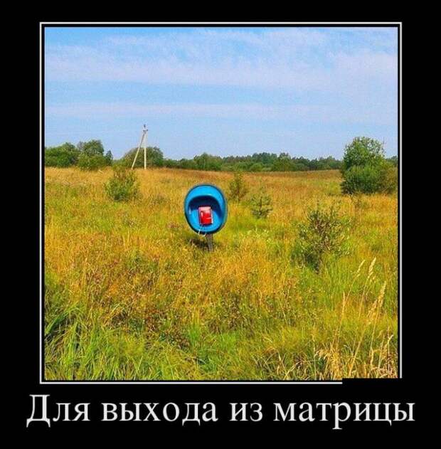 Лучшие демотиваторы от 27-08-2014