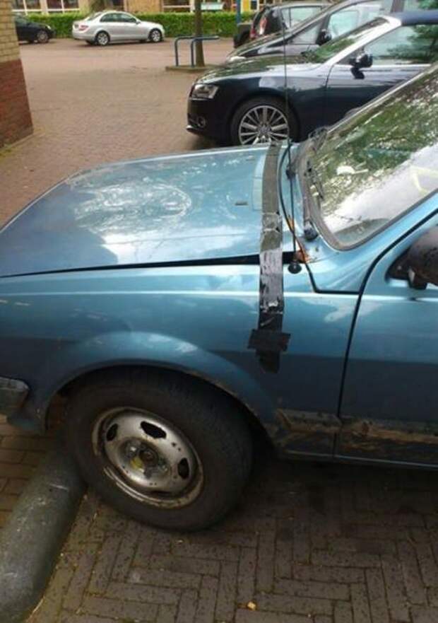 Прикольные картинки Прикольные картинки