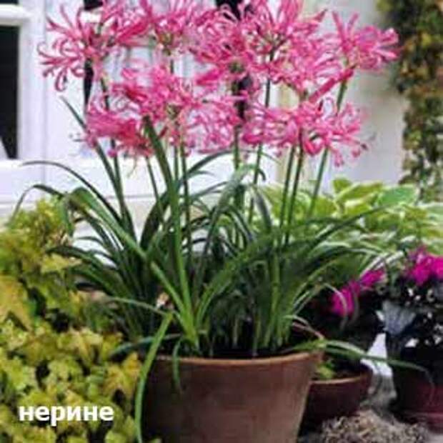 plants-may14-12-(3).jpg