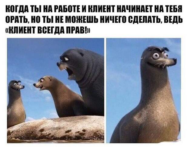 Прикольные картинки и фото с надписями для настроения (11 фото) Прикольные картинки и фото с надписями для настроения (11 фото)