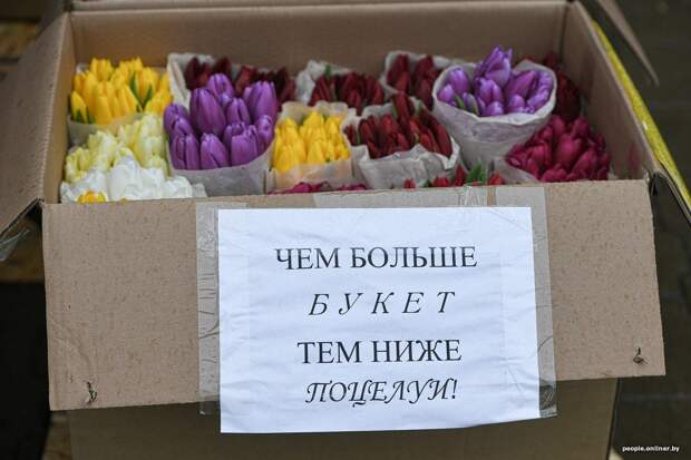 www.vsyako.net