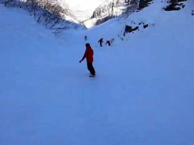 Видео завала лыжниц в сочи