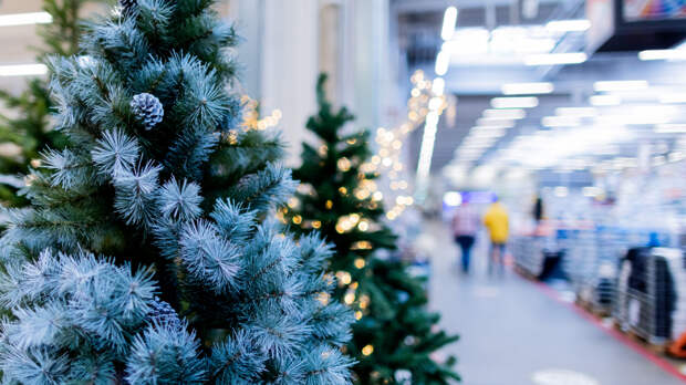 «Хватит на десять лет»: как правильно выбрать искусственную ель на Новый год