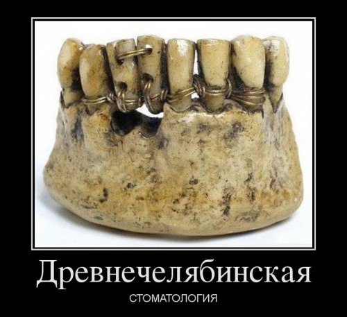 Свежие демотиваторы-приколы (12 шт)