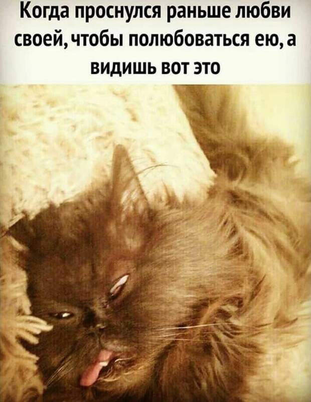 Утро )