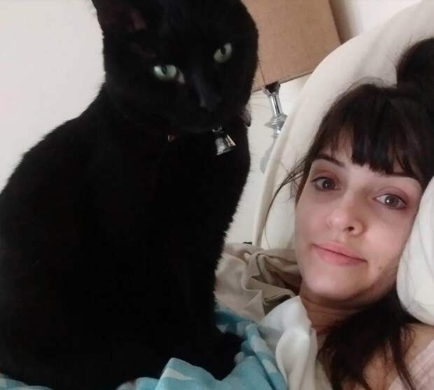 10 самых наглых котов, которых поймали с поличным (фото)