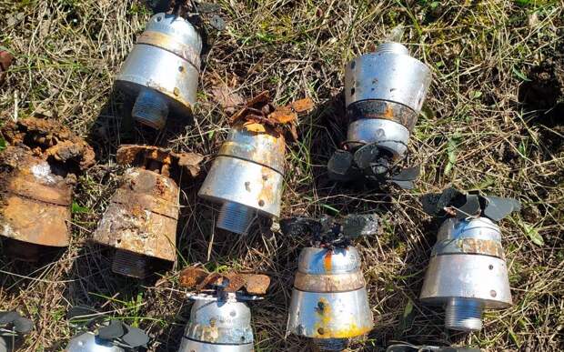В Чучковском районе нашли боеприпасы авиации