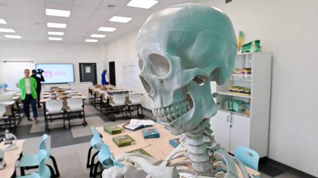 Почему обществознание решили исключить из программы 8-х классов и на что это повлияет